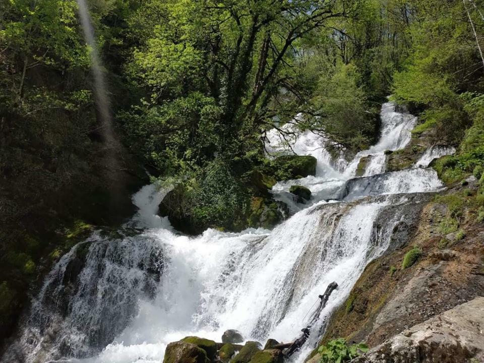 Сибиряк Tskaltubo Bagian luar foto